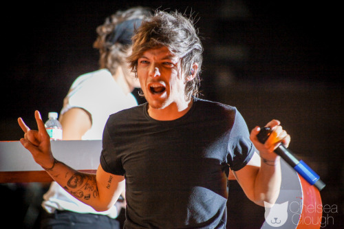 onedhqcentral-blog:  One Direction, Where We Are Tour, Gillette Stadium, Foxborough (08.08.2014) - x 