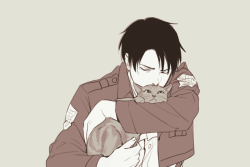 oekaki-chan:  Levi + the shiganshina kitties trio. 