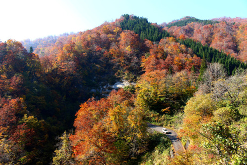 20171105（日,sun）サコサガ滝（Sakosaga waterfall）