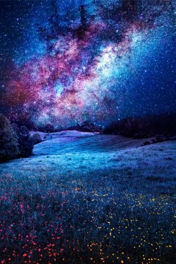  Milky Way | Sebdows Photography 
