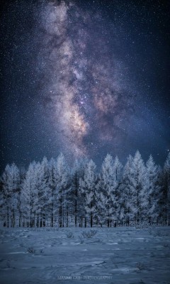 thedemon-hauntedworld:  Masaki Kaji Milky Way over a Winter Tree