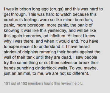 freethecetaceans:   anthony-falletta:  Review I found on Netflix for the movie Blackfish.. said perfectly from a totally different perspective.  Woah dude 