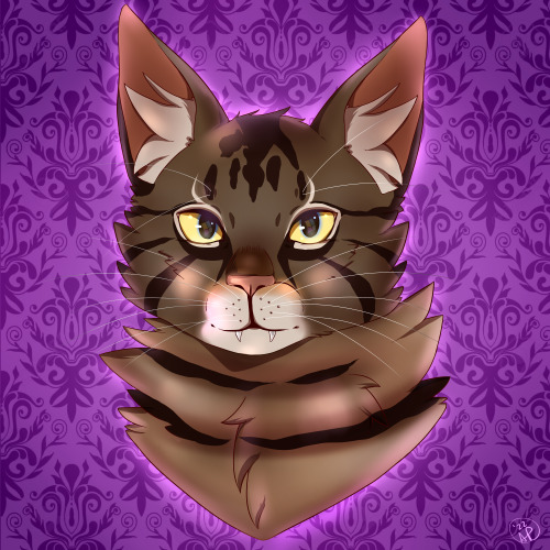 pet portrait commission for someone on discord! thank you for ordering, Tybalt was super fun to draw!