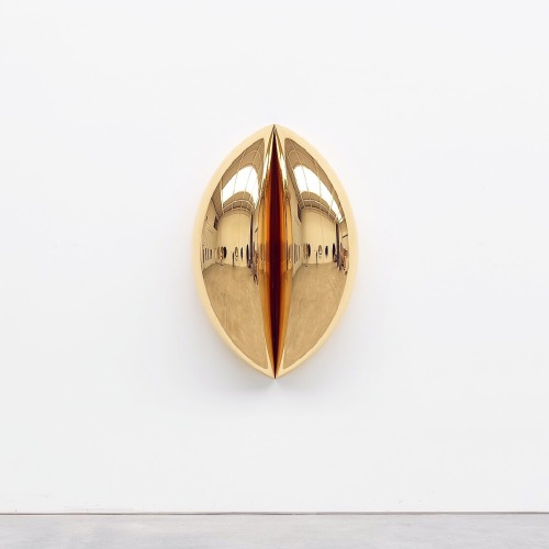 sometimes-now:Anish Kapoor, Hysterical sexual, 2016