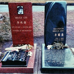 bruceleeshrine:  Reminiscing on the words