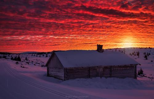 rosiesdreams:Oh what a glorious morning.  By jrnallanpedersen
