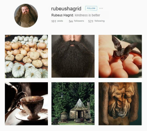 adeoetregina:INSTAGRAM AU>> the Harry Potter Series >> the Order of the Phoenix (selecti