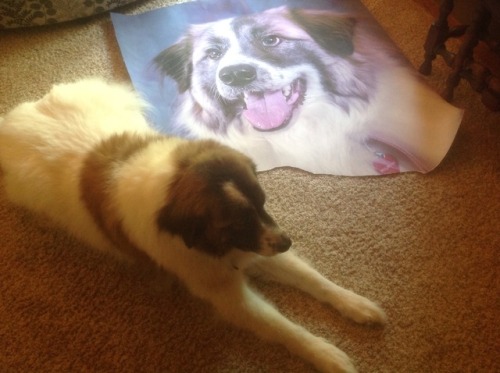 viviansstateoftheworld:That’s a big Vivian.