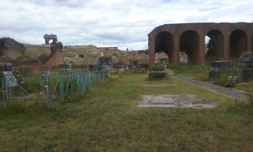 thoodleoo:the amphitheater of capua. my group met a very friendly dog there named snoopy who accompa