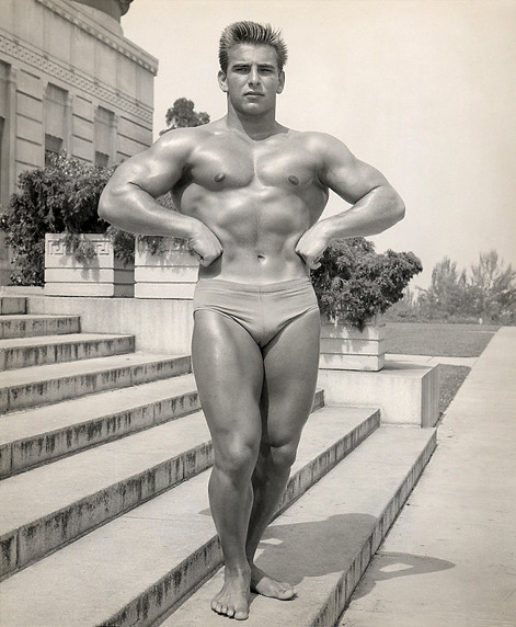 ALEX ARONIS