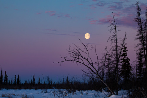 Land of the midnight&hellip;moon? In the winter, the sun stays below the horizon for a large par