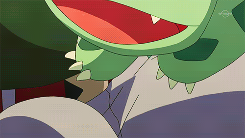 pokememez:  Hehehe, cuteness Bulba….