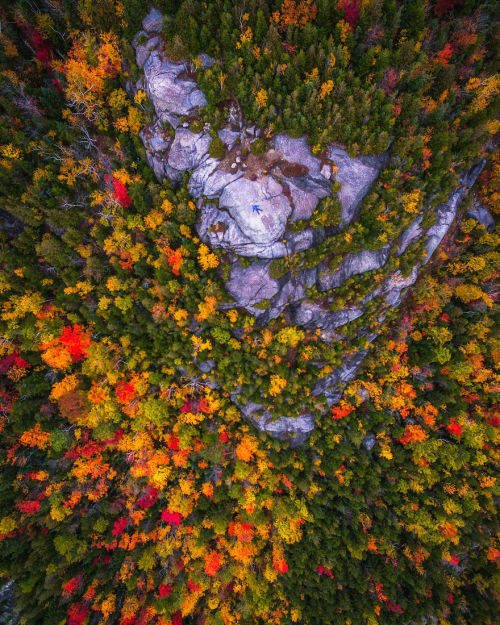 wordsnquotes:  Photographer Michael Matti and his roommate Drove Through Every State in the Northeast US to Photograph the Beauty of Autumn Keep reading  a u t u m n 