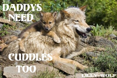 wolfstravelsinmind:  little-lilly-wolf:  Daddys need cuddles too.  They need a little