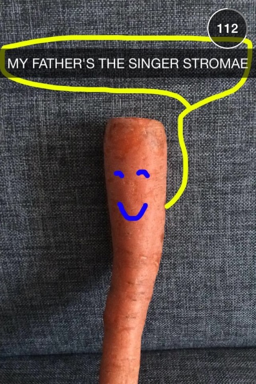 maestromae:  Carrot the Carrot meets his father, Stromae. Featuring Jerome Jarre. 