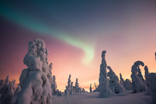 Winter wonderland. All pictures shot at Iso - Syöte, Finland. by Tiina Törmänen | web | FB | IG | ST