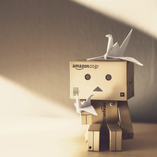 Danboard