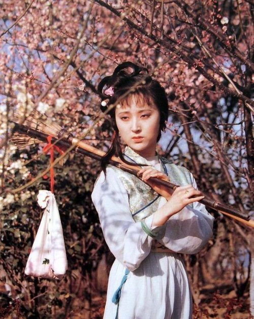 Pictures of the TV drama, Dream of the Red Chamber(红楼梦). It was shot in 1987 and was based on the sa