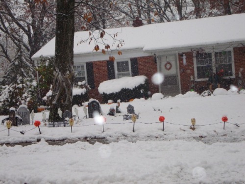 halloweentrickortreat:Snow + Halloween 