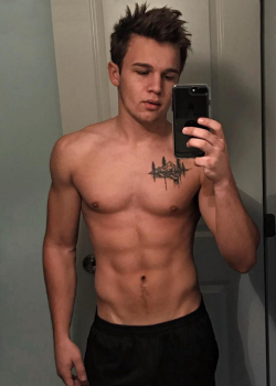 malecelebsandporn:    Gavin MacIntosh