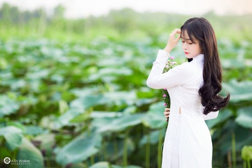  Vietnamese long dress (Ao dai) bởi Beauty Collection Qua Flickr: Photo backup https://flic.kr/s/aHs