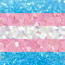 apidaestims: Transgender Glitterx x x | x [x] x | x x x