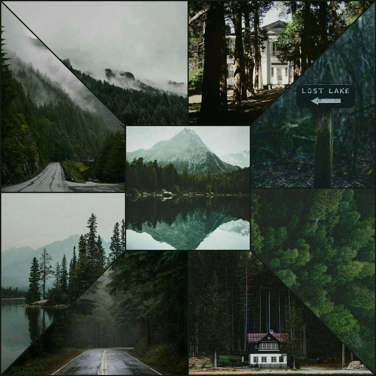 moodboardlgbt:  I’m gay and I love forests  Give credit if you repost! (I don’t