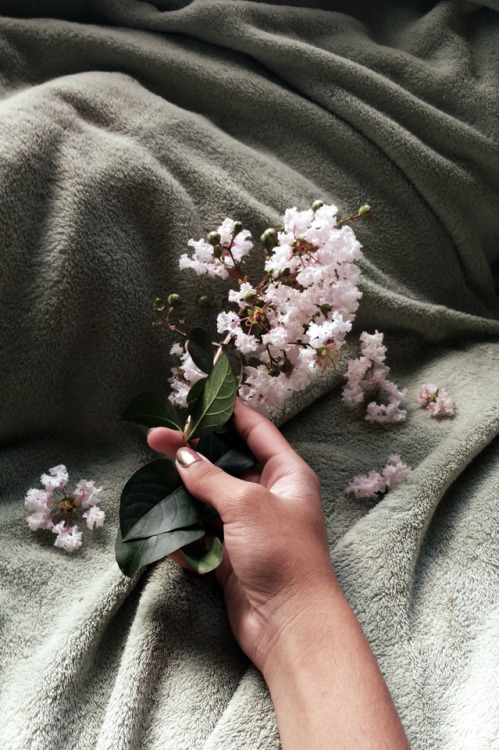 smollest-critter: I could be poetic and pretty about this or  I could title this photoset  Flower di