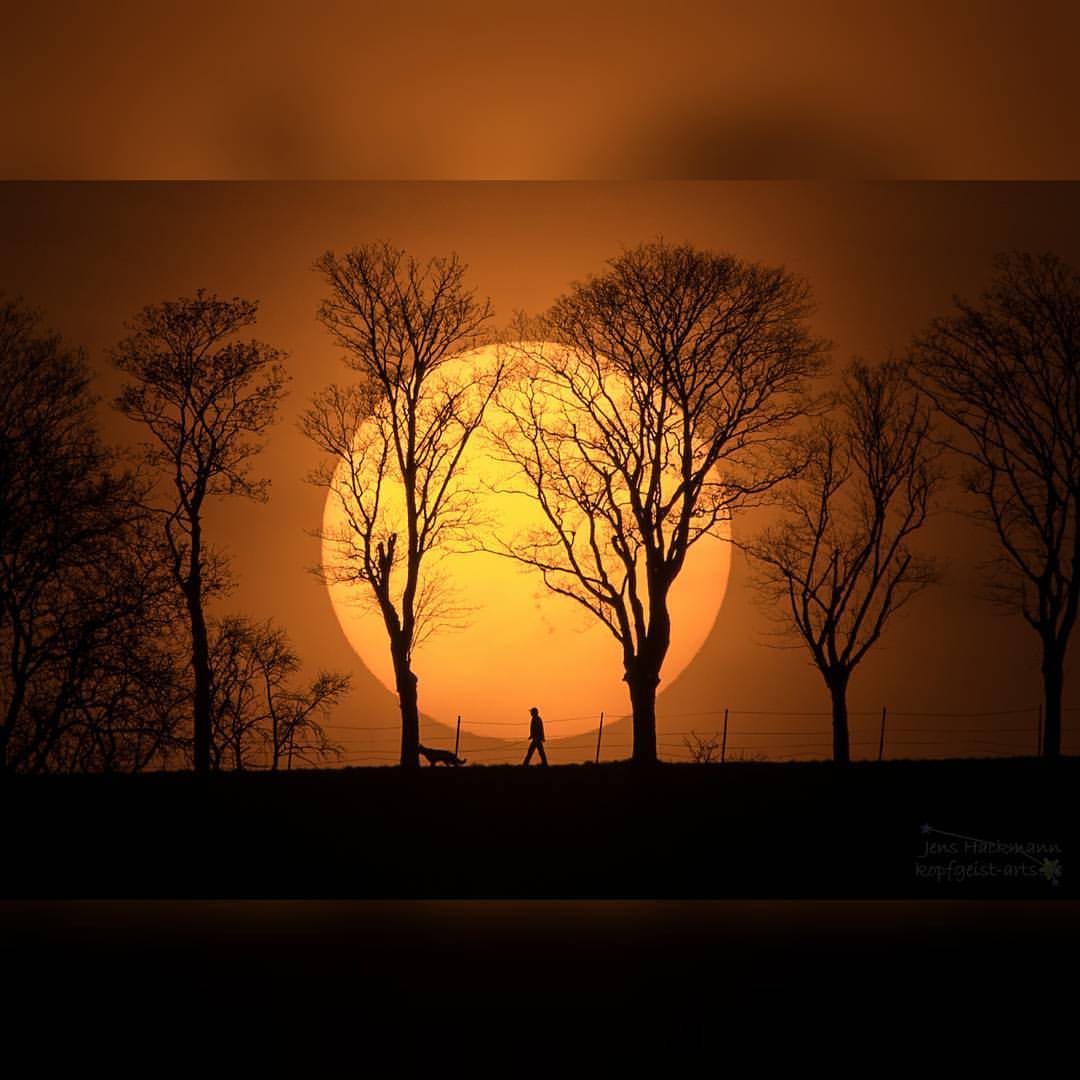 Man, Dog, Sun #nasa #apod #sun #trees #man #dog #sunset #atmosphere #sunspots #badmergentheim