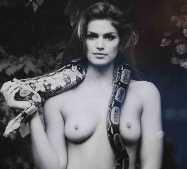 celebboobies2:  Cindy Crawford