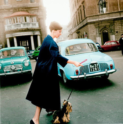 lindsayslohan: Audrey Hepburn walking her dog in Rome, 1961