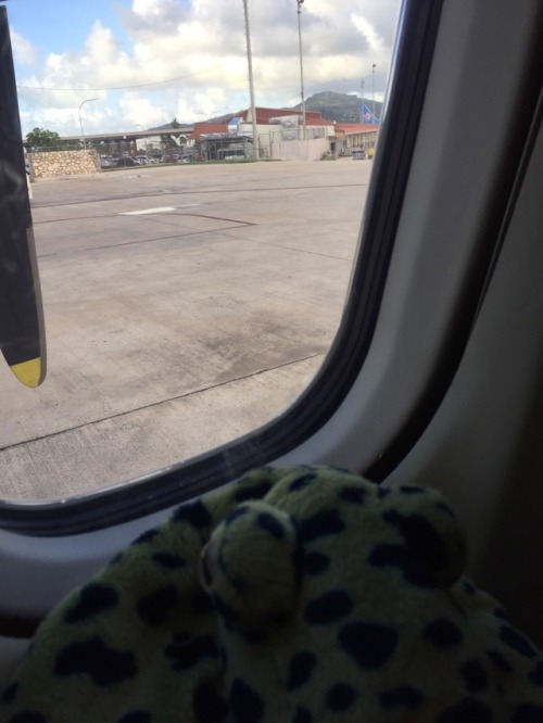 Goodbye, Saipan! I hope I get to come back again someday.