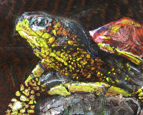 turtlefeed:This incredible feather painting of a box turtle was executed by Amber Ross.