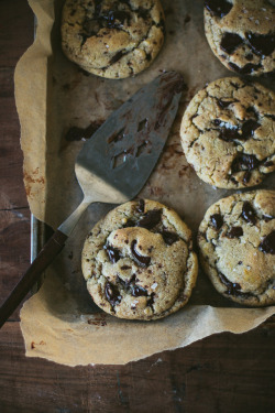 palestinianliberator: sweetoothgirl:   Another Chocolate Chip Cookie Recipe   Well thanks guess I’m making cookies tonight 