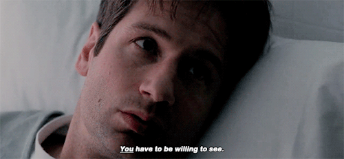 fovmulder:Mulder, the case is over. There’s no more evidence to be gathered. There’s onl