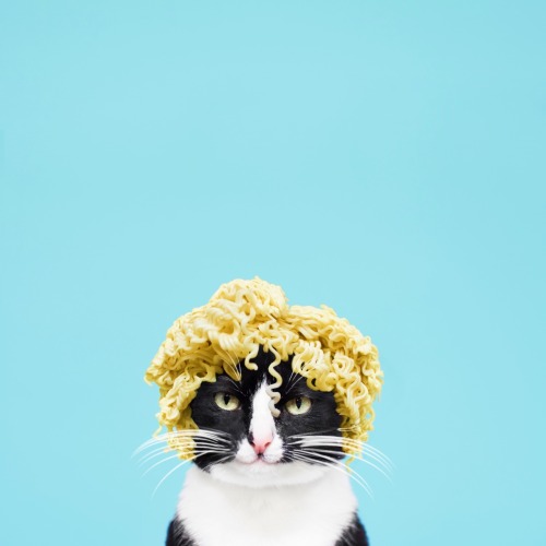 princesscheeto: Got my hair did.  #CheetoAsMarilyn