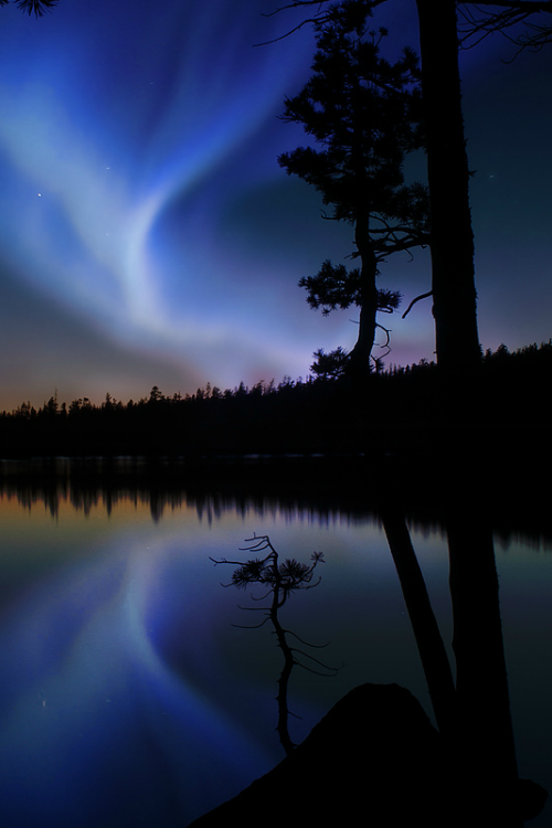 tulipnight:
“ Aurora Borealis by Kemal1998 on Flickr.
”