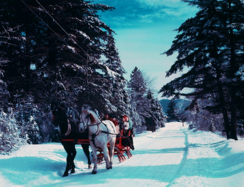 Vintage Christmas Photos - Sleigh Ride (1971)