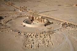 magnetpraetorian:The Ruins of Palmyra, Birds