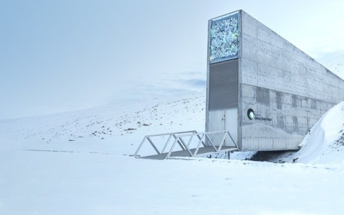 stray–wolf:The Svalbard Global Seed Vault holds over 850,000 types of seeds, situated in perma