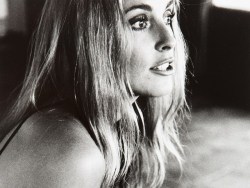 foreversharontate:Sharon Tate photographed