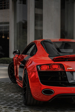 worldfam0us:  Audi R8 | WF