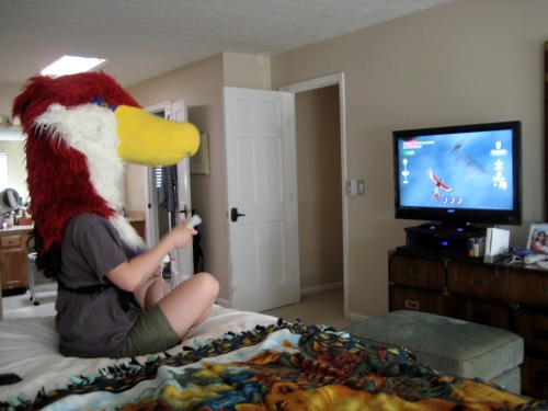 zulayawolf:  So I was playing Skyward Sword