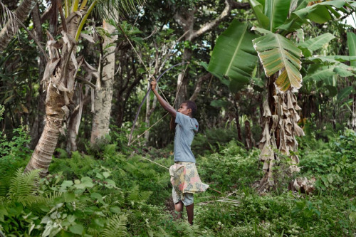 Alessandra Sanguinetti: The island life of Mayotte, Dominica and Vanuatu, a series commissioned by E