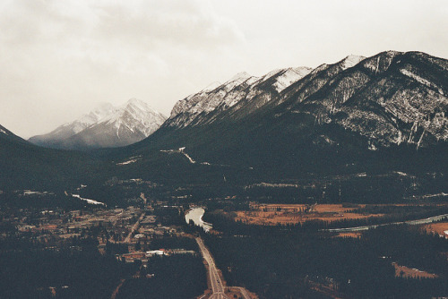 owakolf:Nature Blog ▲