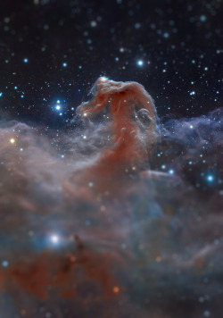 the-science-llama:  Space miniaturized. Just