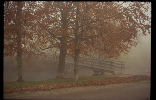 taranegerton:misty mornings in maastrichtcanon ae-1 // kodak vision3instagram &amp; flickr