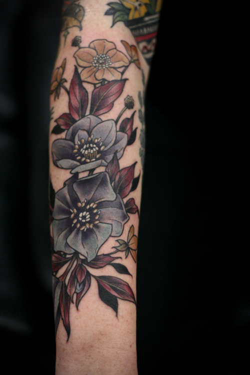 Sex kirstenmakestattoos:  Black hellebore and pictures