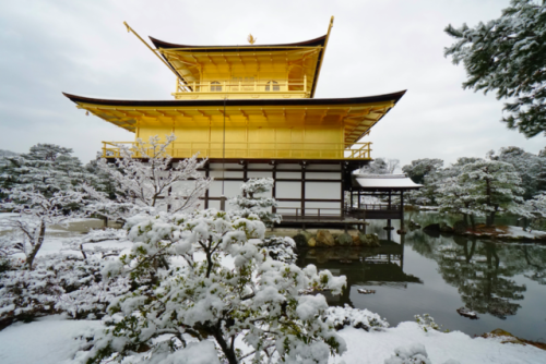 nihongo: chitaka45: 京都 金閣寺 ❄️雪景色❄️2018年1月14日 kyoto kinkakuji temple 14.1.2018 まるで絵葉書のような、美しい雪の金閣寺。寒