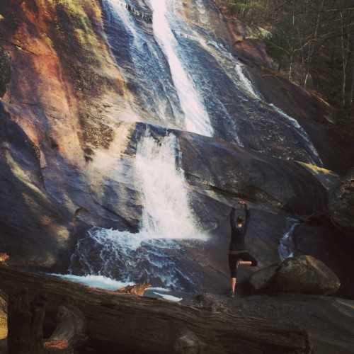 mygardenlife:A little #tree amongst the falls! #nature #outdoors #waterfall #mountains #yogaeverydam